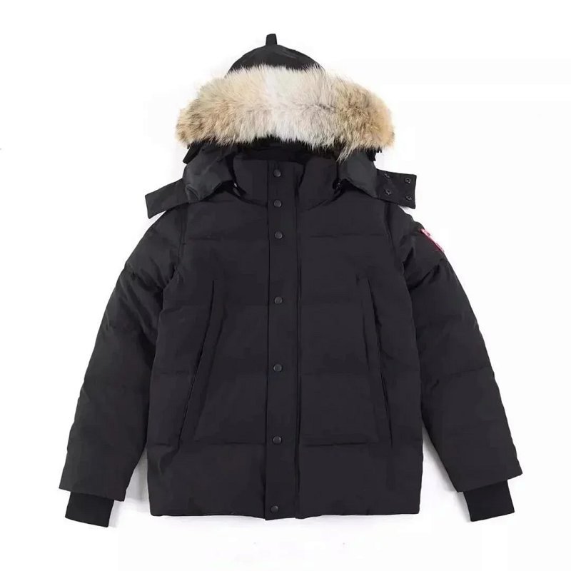 Kakobuy spreadsheet accessories - C羽绒服01130 product image