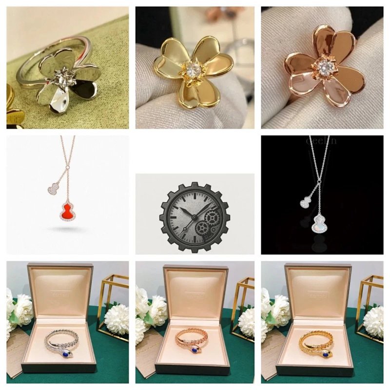 Kakobuy spreadsheet accessories - Assorted Flower, Gourd, and Snake Motif Jewelry Collection product image